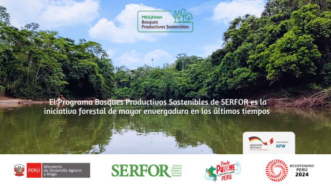 Convocatoria de consultoría