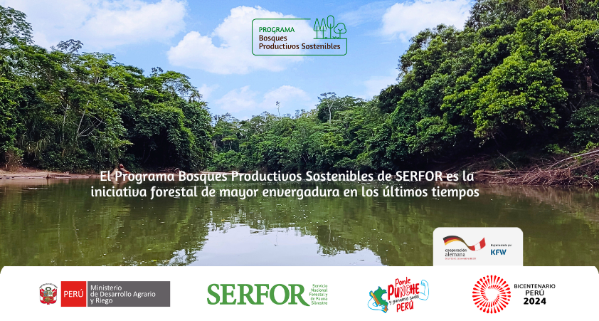 Bosques