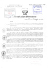 Vista preliminar de documento R.D. N° 180-2018-HNDAC pdf
