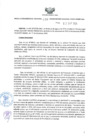 Vista preliminar de documento GRRNYGMA-048