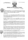 Vista preliminar de documento R.D N° 262-2024-HMA-DG