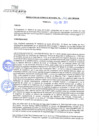 Vista preliminar de documento rgm21172