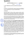 Vista preliminar de documento rgm21426
