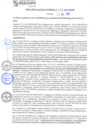 Vista preliminar de documento rgm21419