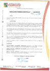 Vista preliminar de documento rgm21428