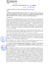 Vista preliminar de documento rgm21427
