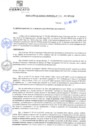 Vista preliminar de documento rgm21432