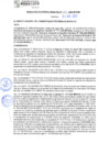 Vista preliminar de documento rgm21434