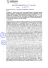 Vista preliminar de documento rgm21437