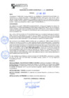 Vista preliminar de documento rgm21451
