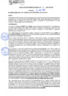 Vista preliminar de documento rgm21445