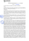 Vista preliminar de documento rgm21457