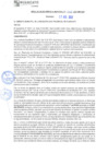 Vista preliminar de documento rgm21458