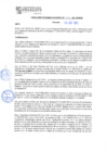 Vista preliminar de documento rgm21464