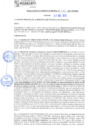 Vista preliminar de documento rgm21461