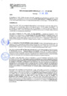 Vista preliminar de documento rgm21466