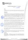 Vista preliminar de documento rgm21472