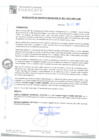 Vista preliminar de documento rgm21652