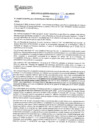 Vista preliminar de documento rgm21479