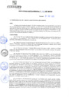 Vista preliminar de documento rgm21482