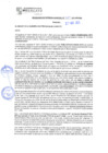 Vista preliminar de documento rgm21487