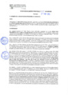 Vista preliminar de documento rgm21488