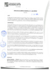 Vista preliminar de documento rgm21491