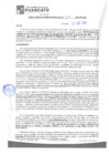 Vista preliminar de documento rgm21490
