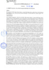 Vista preliminar de documento rgm21511
