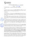 Vista preliminar de documento rgm21515