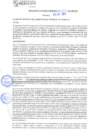 Vista preliminar de documento rgm21517