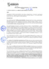 Vista preliminar de documento rgm21521