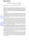 Vista preliminar de documento rgm21533