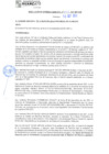 Vista preliminar de documento rgm21535