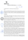 Vista preliminar de documento rgm21537