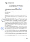 Vista preliminar de documento rgm21026