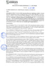 Vista preliminar de documento rgm21534