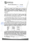 Vista preliminar de documento rgm21540