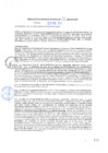 Vista preliminar de documento rgm21103