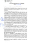 Vista preliminar de documento rgm21246