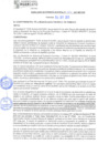 Vista preliminar de documento rgm21504
