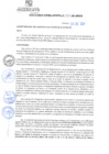 Vista preliminar de documento rgm21544