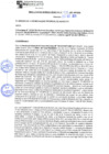 Vista preliminar de documento rgm21546