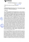 Vista preliminar de documento rgm21549