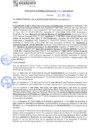 Vista preliminar de documento rgm21542