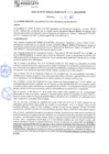 Vista preliminar de documento rgm21557