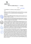 Vista preliminar de documento rgm21567