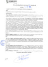 Vista preliminar de documento rgm21571