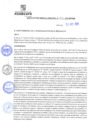 Vista preliminar de documento rgm21574
