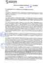 Vista preliminar de documento rgm21572